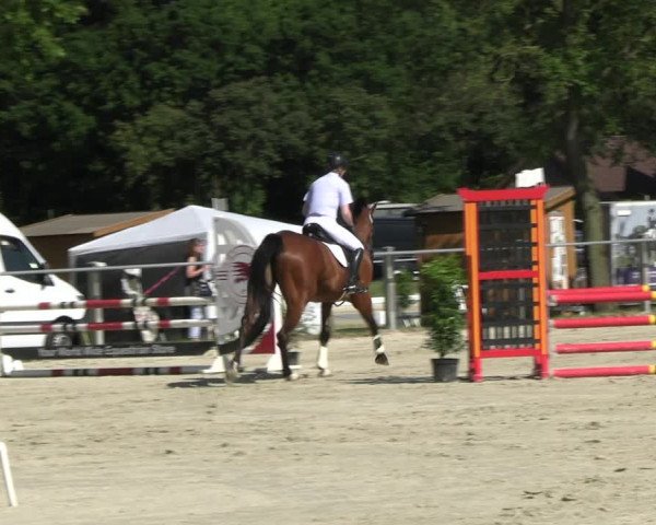 Reitturnier Nienberge Reitanlage Geßmann 2023