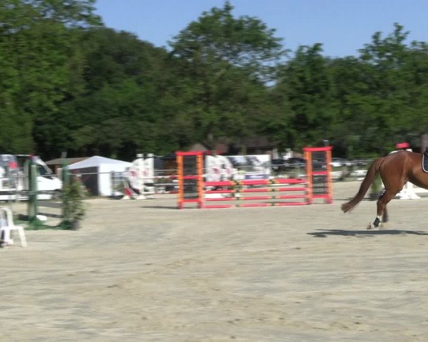 Reitturnier Nienberge Reitanlage Geßmann 2023