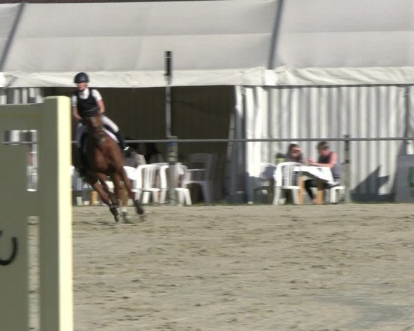 Reitturnier Nienberge Reitanlage Geßmann 2023