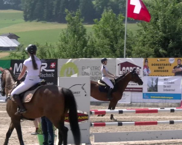 Reitturnier Ruswil 2023