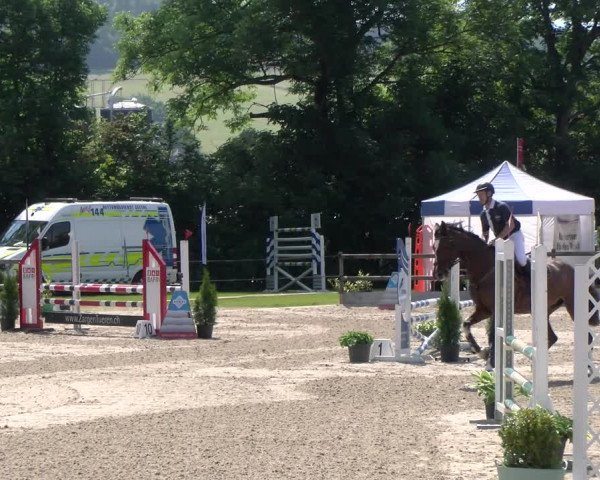 Reitturnier Ruswil 2023