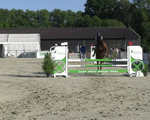 Reitturnier Nienberge Reitanlage Geßmann 2023