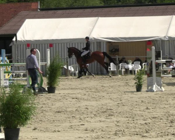 Reitturnier Nienberge Reitanlage Geßmann 2023