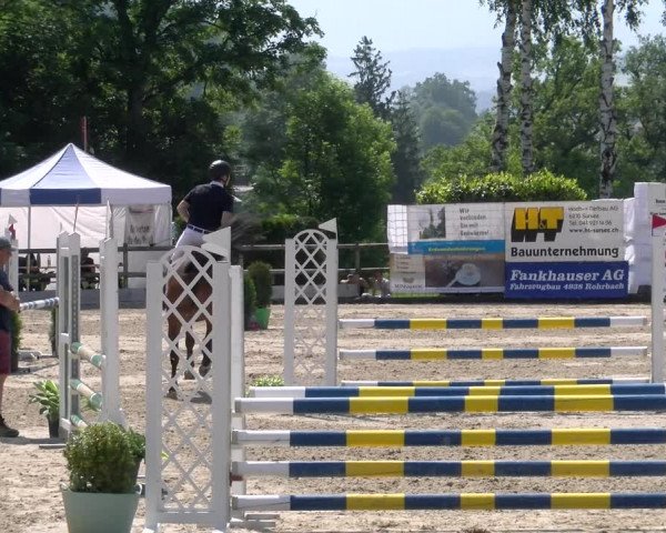 Reitturnier Ruswil 2023
