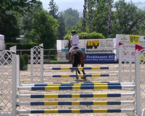Reitturnier Ruswil 2023