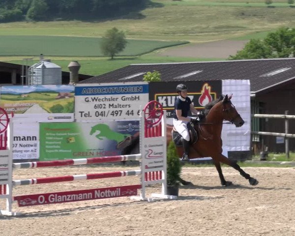 Reitturnier Ruswil 2023