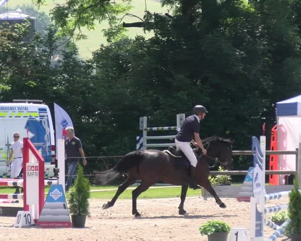 Reitturnier Ruswil 2023