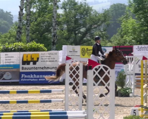 Reitturnier Ruswil 2023