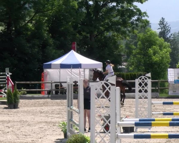 Reitturnier Ruswil 2023