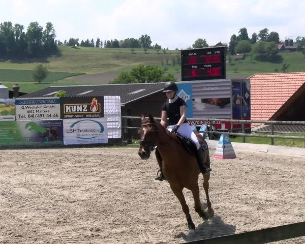 Reitturnier Ruswil 2023