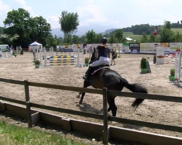 Reitturnier Ruswil 2023