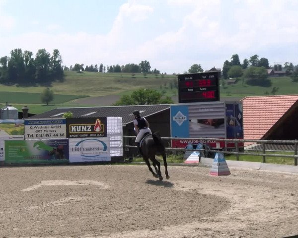 Reitturnier Ruswil 2023