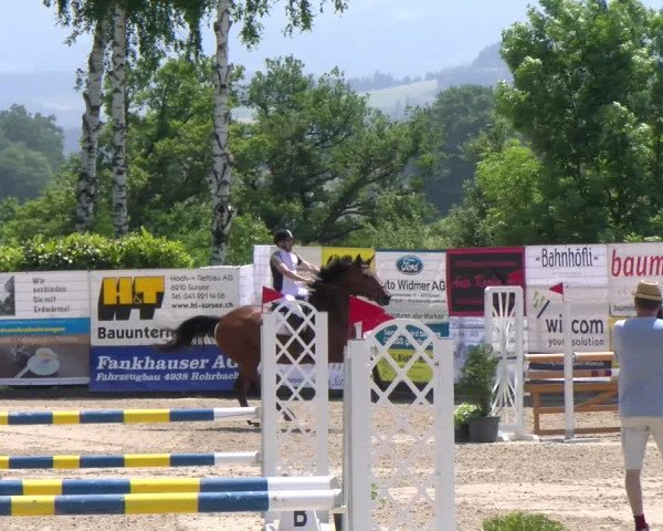 Reitturnier Ruswil 2023