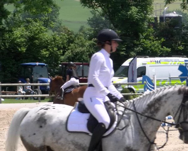 Reitturnier Ruswil 2023