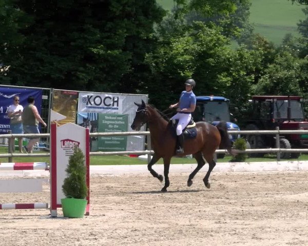 Reitturnier Ruswil 2023
