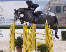 jumper Diarado Blue (Oldenburg, 2009, from Diarado)
