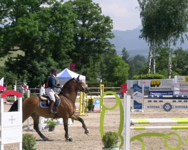Reitturnier Ruswil 2023
