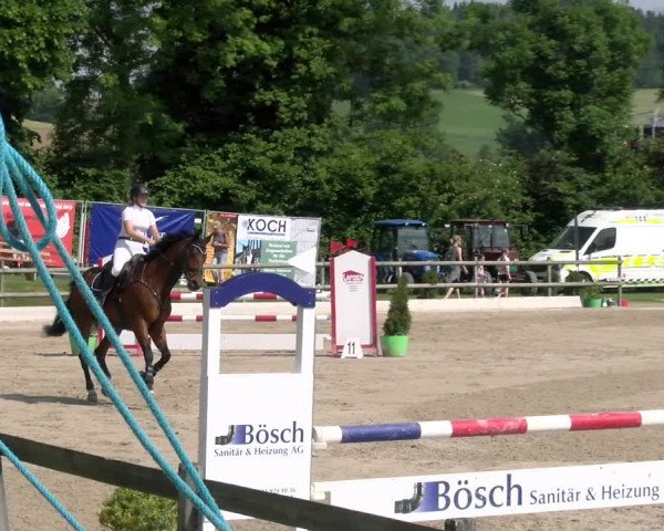 Reitturnier Ruswil 2023