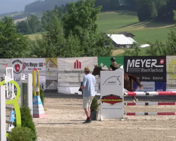 Reitturnier Ruswil 2023