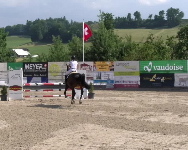 Reitturnier Ruswil 2023