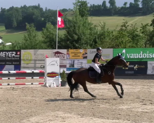 Reitturnier Ruswil 2023