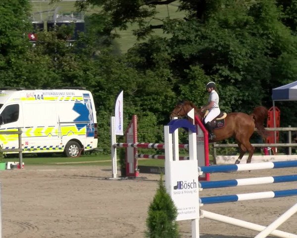 Reitturnier Ruswil 2023