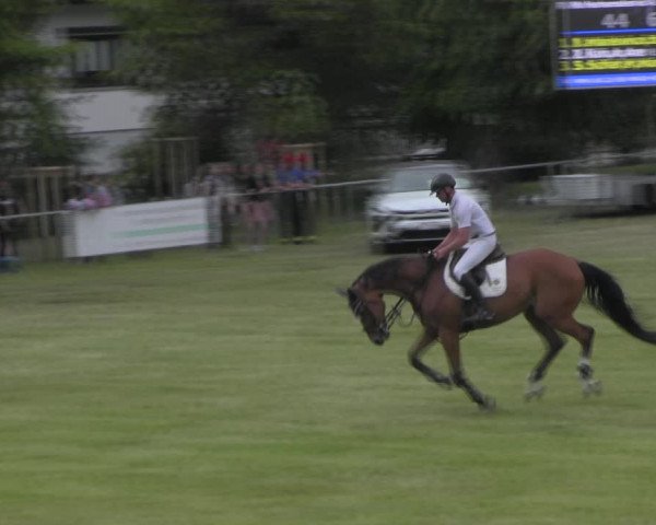 Reitturnier Königsborn 2023