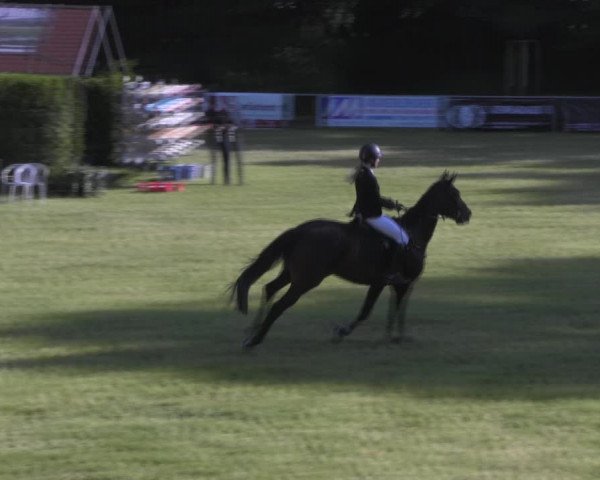 Reitturnier Königsborn 2023