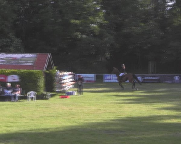 Reitturnier Königsborn 2023