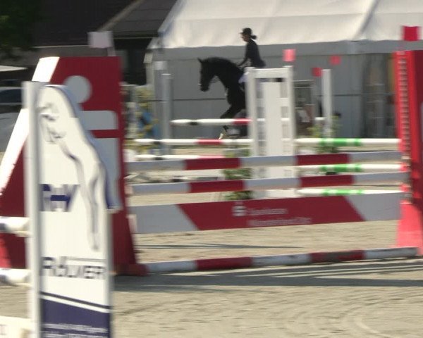 Reitturnier Nienberge Reitanlage Geßmann 2023