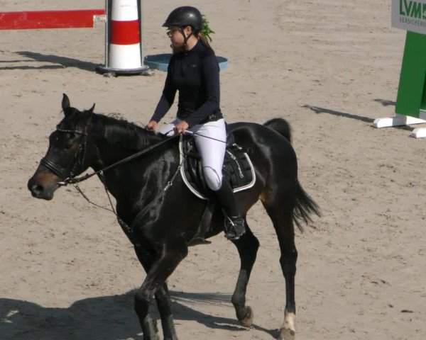 Reitturnier Harsum-Hüddessum 2023