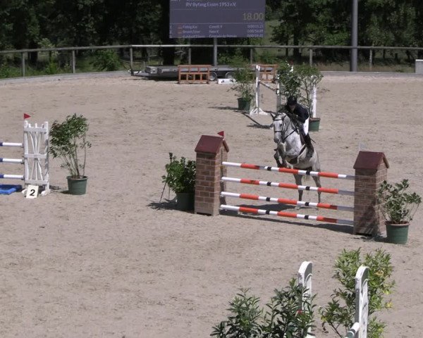 Reitturnier Erkrath - Uhlenhof 2023