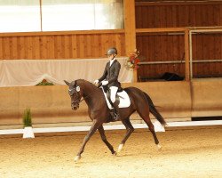 dressage horse Danny de Luxe M (German Sport Horse, 2018, from Daybreak M)