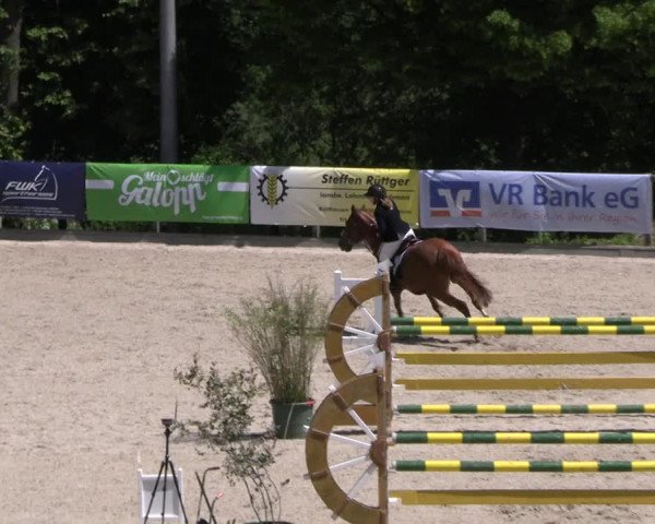 Reitturnier Erkrath - Uhlenhof 2023