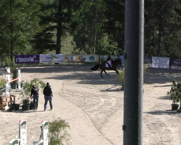 Reitturnier Erkrath - Uhlenhof 2023
