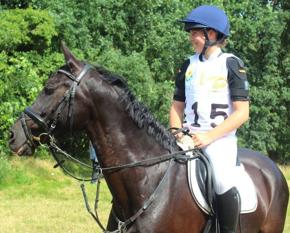 jumper Rosebud 7 (German Riding Pony, 2001, from Boss jun.)