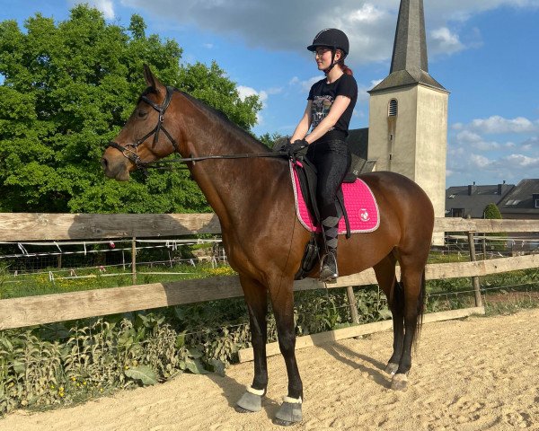 broodmare Lya (KWPN (Royal Dutch Sporthorse), 2016, from United)