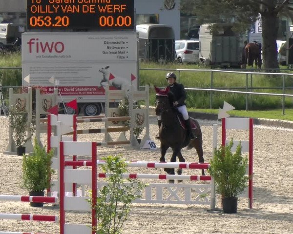 Reitturnier Werdenberg 2023