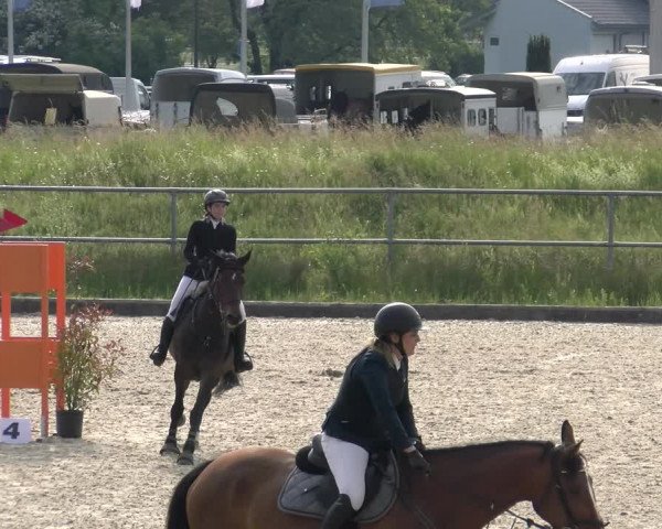 Reitturnier Werdenberg 2023