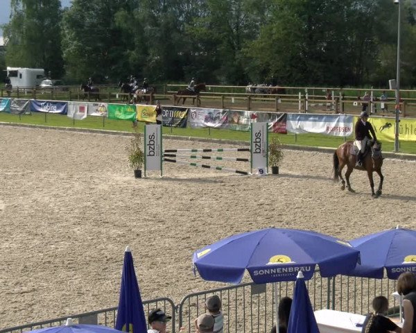 Reitturnier Werdenberg 2023