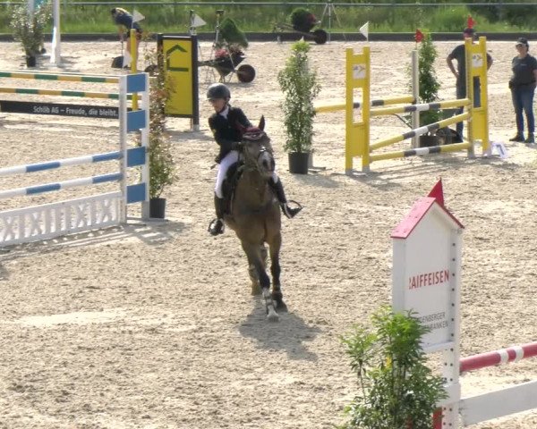 Reitturnier Werdenberg 2023