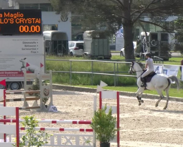 Reitturnier Werdenberg 2023