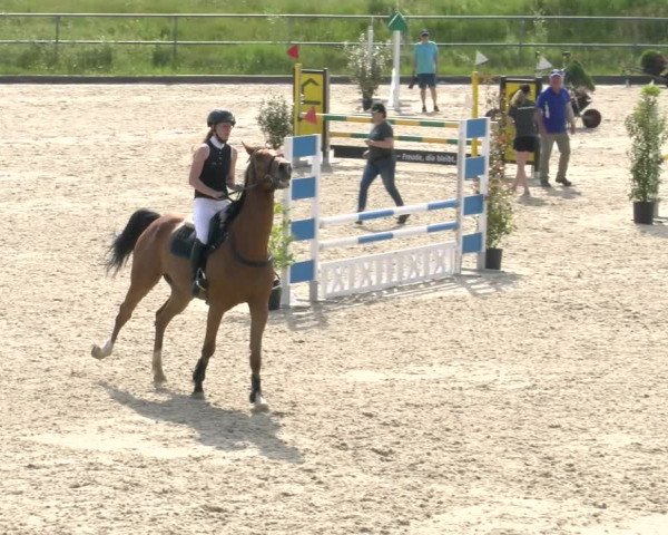 Reitturnier Werdenberg 2023