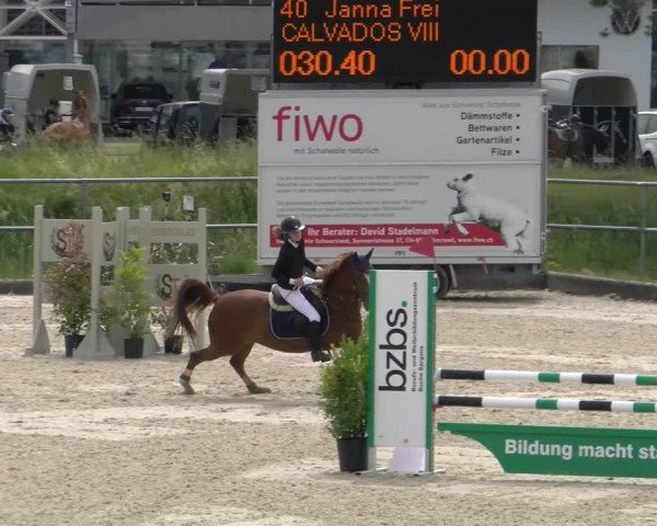 Reitturnier Werdenberg 2023