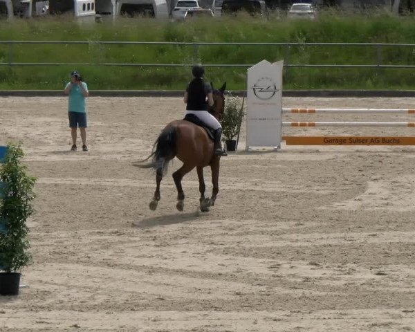 Reitturnier Werdenberg 2023