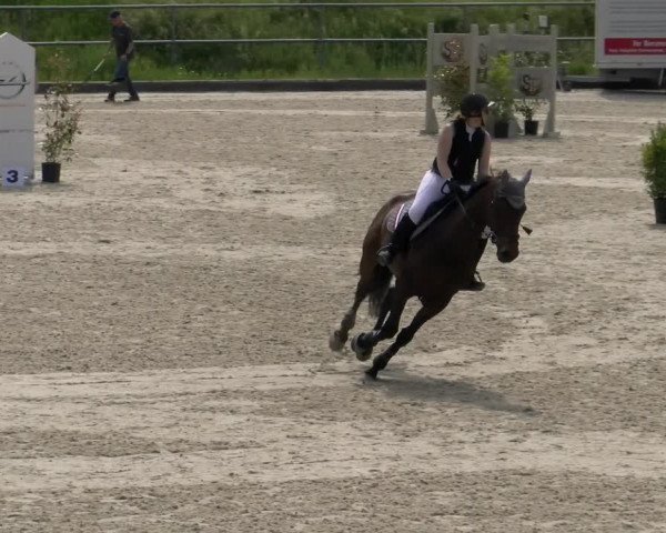 Reitturnier Werdenberg 2023