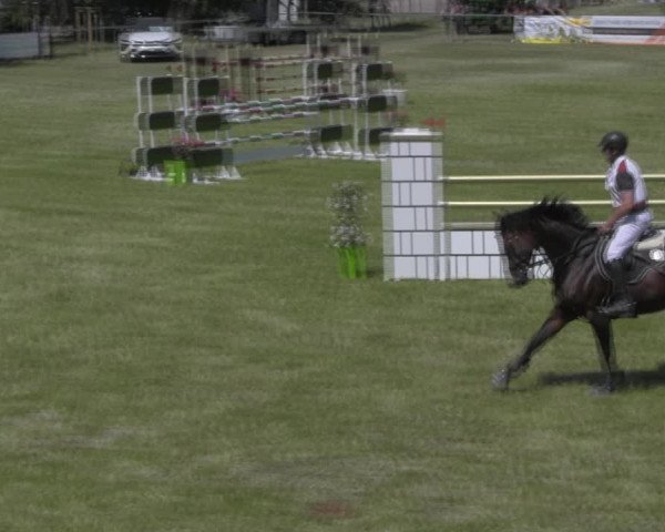 Reitturnier Königsborn 2023