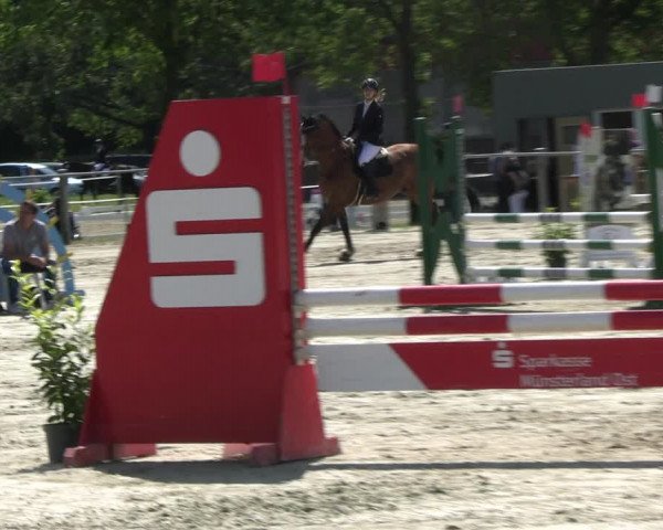 Reitturnier Nienberge Reitanlage Geßmann 2023