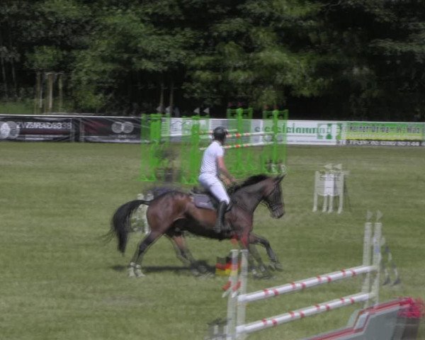 Reitturnier Königsborn 2023
