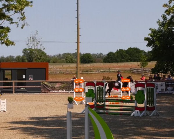 Reitturnier Ruhlsdorf 2023